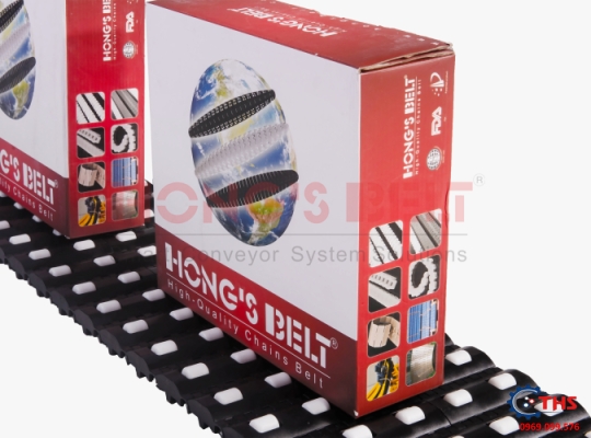 Băng tải nhựa Hongsbelt HS-100A-HD-N-C